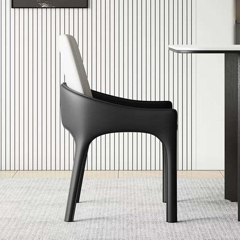 Modern Cat-Scratch Skin Carbon Steel Dining Chair