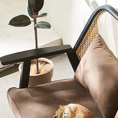 Retro Wood Rattan Fabric Dining Chair