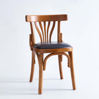 Eclectic Cushion Wood Leather Dining Chair