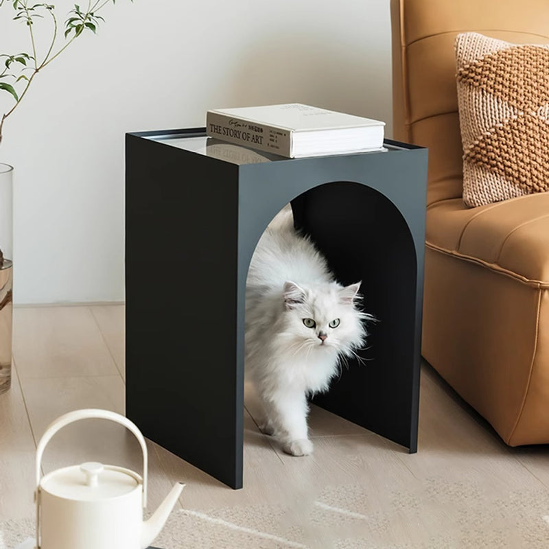 Minimalist Iron Acrylic Arch Side Table