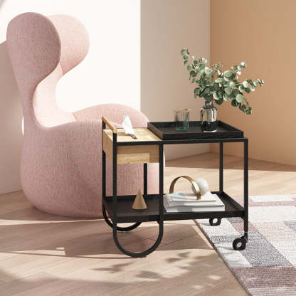 Minimalist Metal 2-Tier Movable Storage Cart
