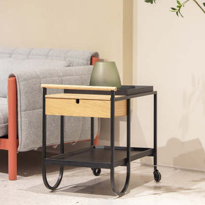 Minimalist Metal 2-Tier Movable Storage Cart
