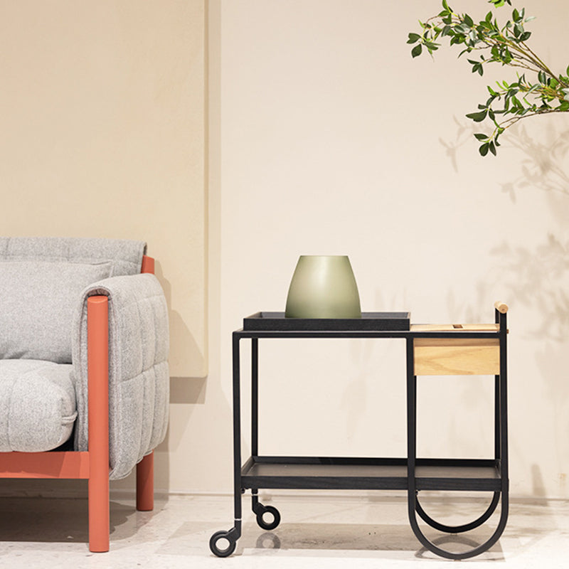 Minimalist Metal 2-Tier Movable Storage Cart