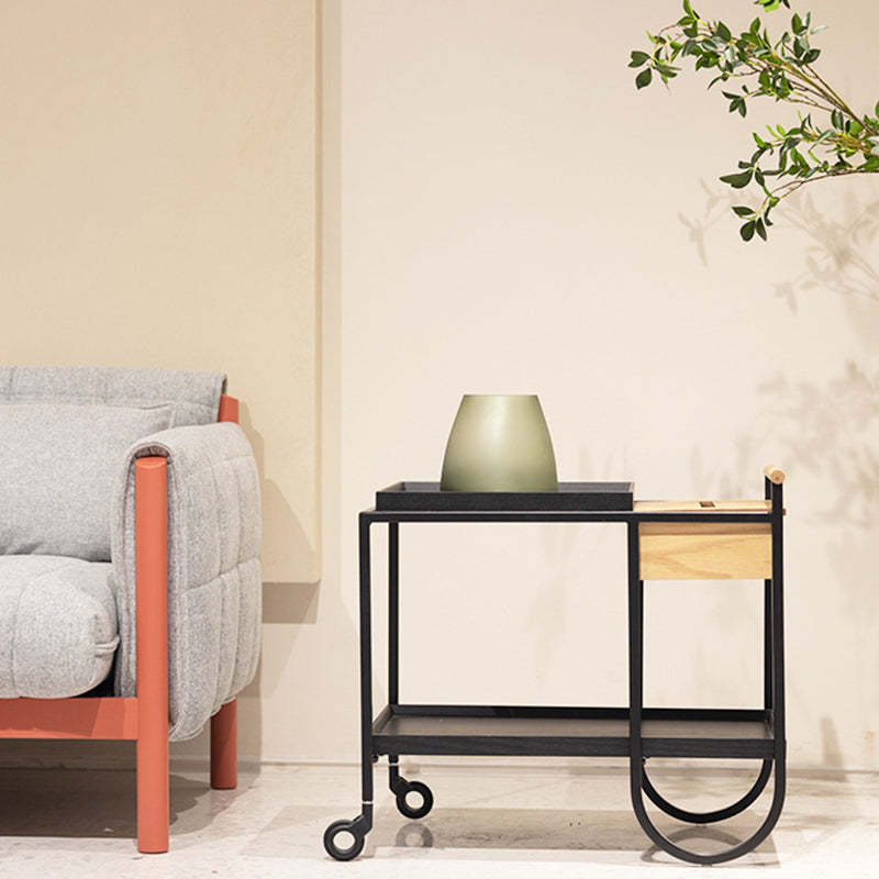 Minimalist Metal 2-Tier Movable Storage Cart