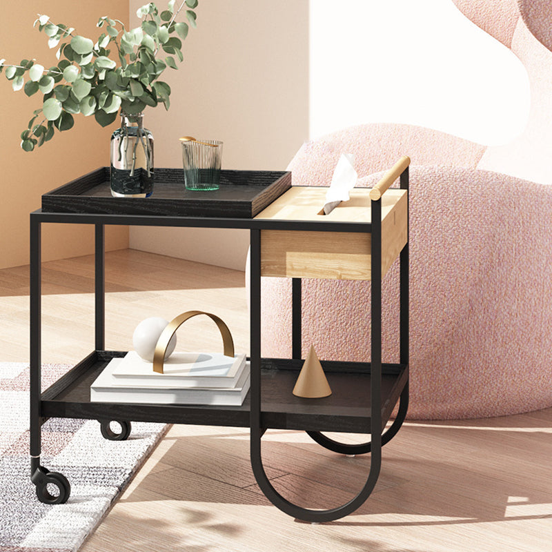 Minimalist Metal 2-Tier Movable Storage Cart