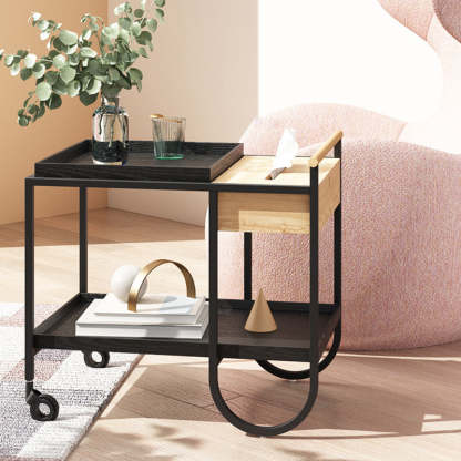 Minimalist Metal 2-Tier Movable Storage Cart