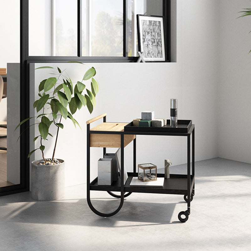Minimalist Metal 2-Tier Movable Storage Cart