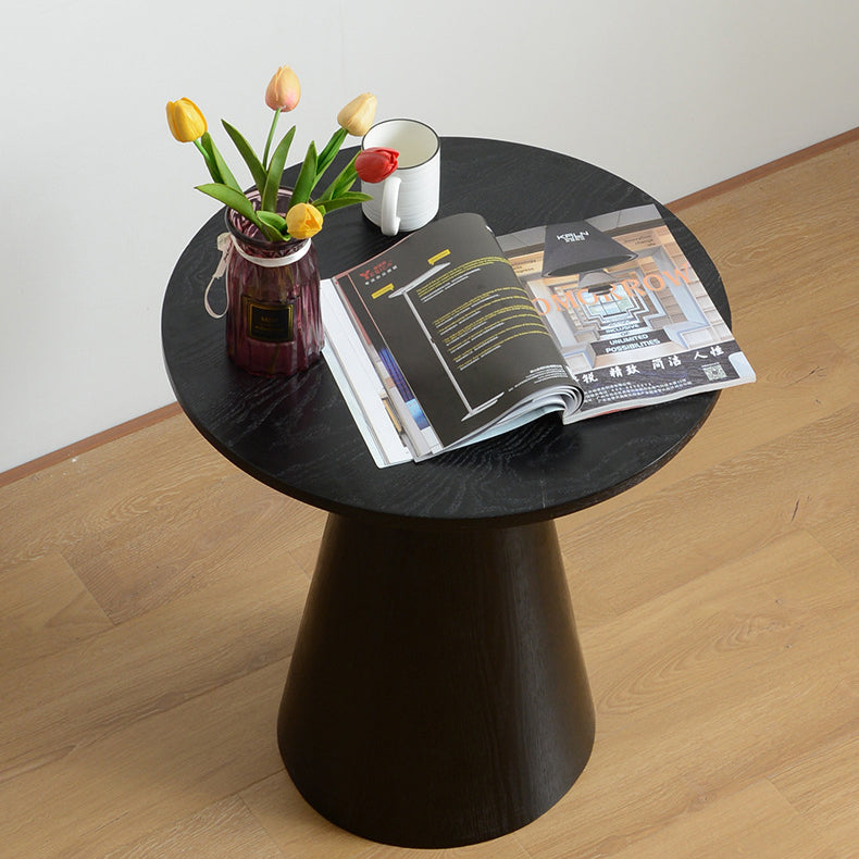 Scandinavian Solid Wood Stainless Steel Round Cone End Table