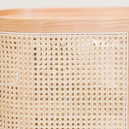 Rustic Wood Rattan 2-Cabinet Nightstand