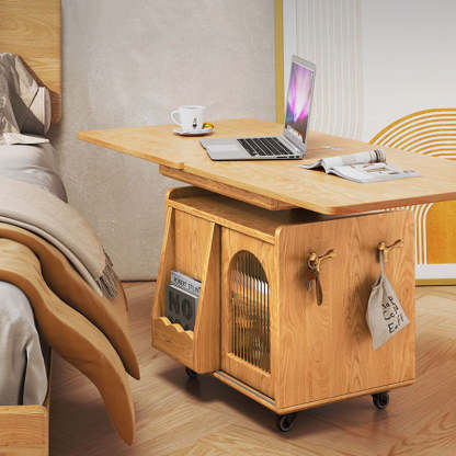Wood Glass Steel Coffee Table 2-Cabinet