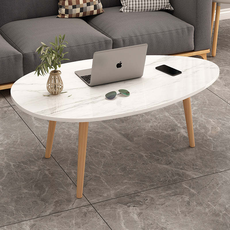 Minimalist Oval Wood Coffee Table
