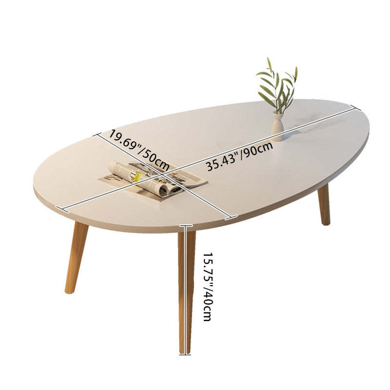 Minimalist Oval Wood Coffee Table