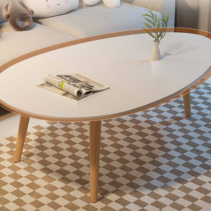 Minimalist Oval Wood Coffee Table