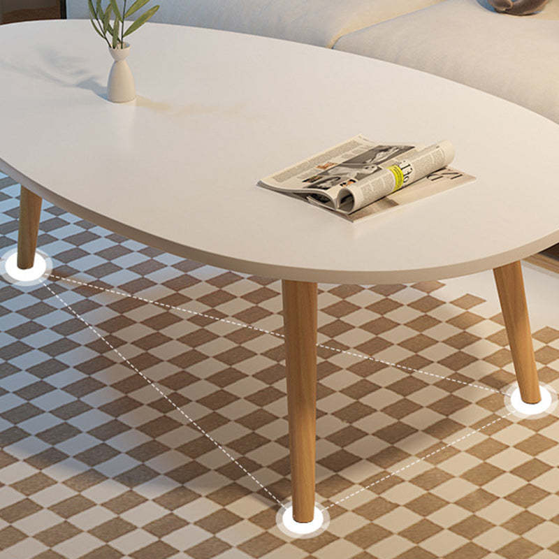 Minimalist Oval Wood Coffee Table