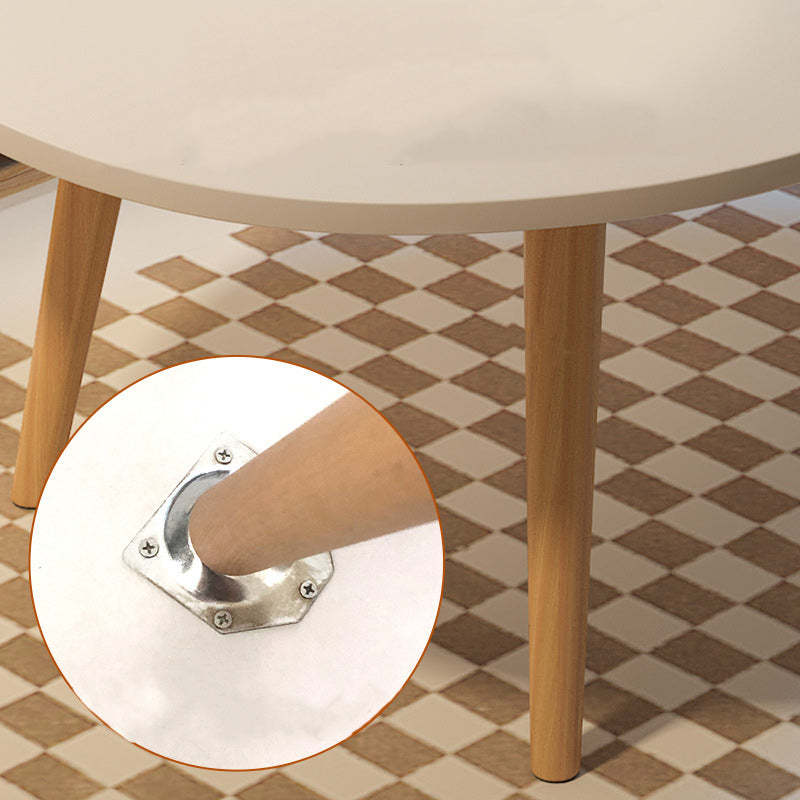 Minimalist Oval Wood Coffee Table