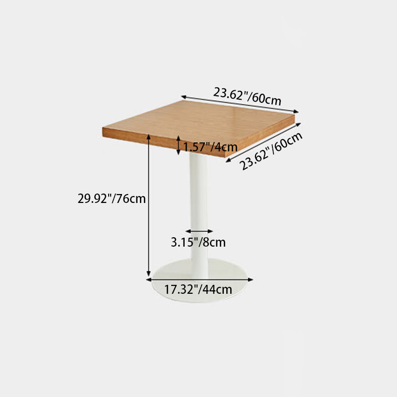 Nordic Iron Wood End Table