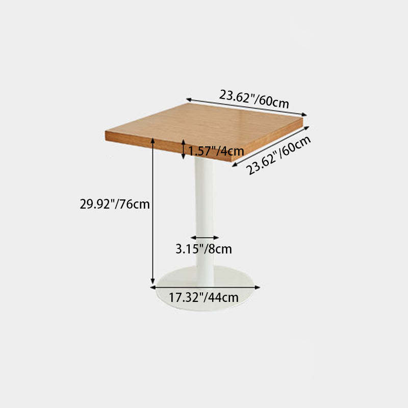 Nordic Iron Wood End Table