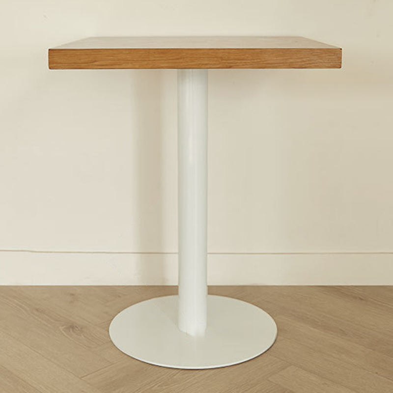 Nordic Iron Wood End Table