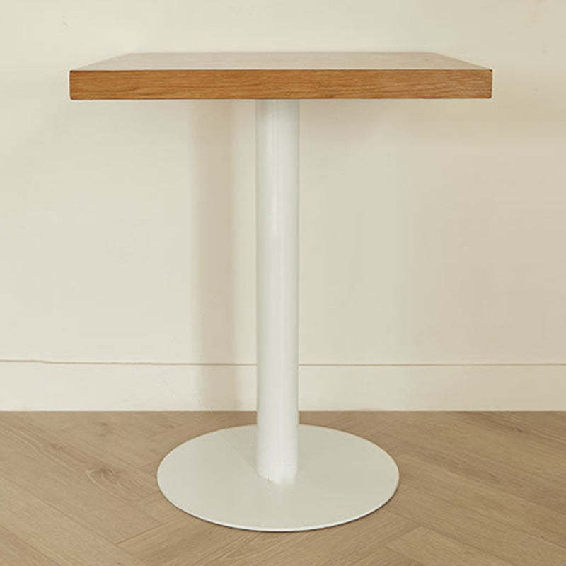 Nordic Iron Wood End Table