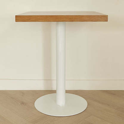 Nordic Iron Wood End Table