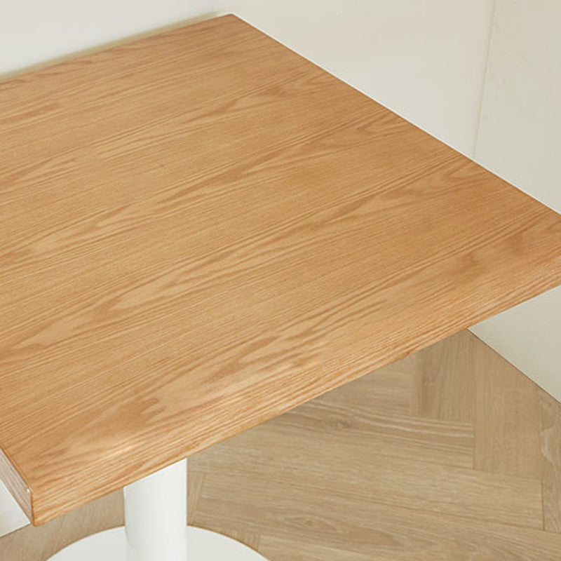 Nordic Iron Wood End Table