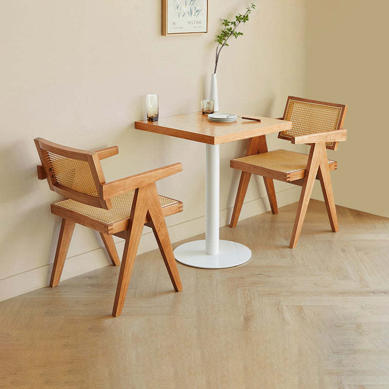 Nordic Iron Wood End Table