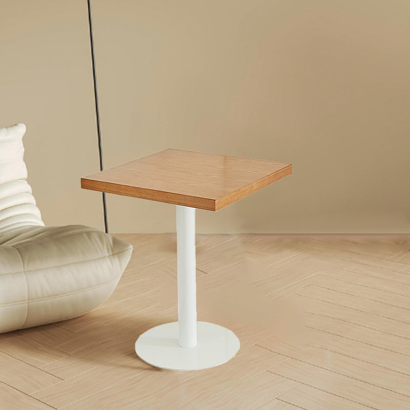 Nordic Iron Wood End Table