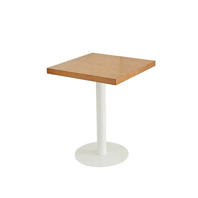 Nordic Iron Wood End Table
