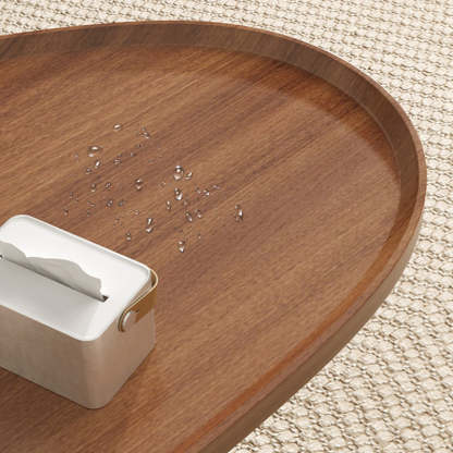 Japanese Oval Steel Wood Coffee Table