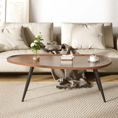 Japanese Oval Steel Wood Coffee Table — White