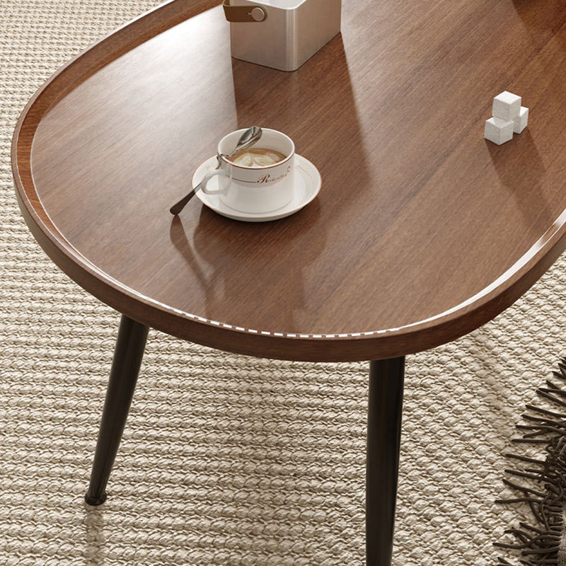 Japanese Oval Steel Wood Coffee Table