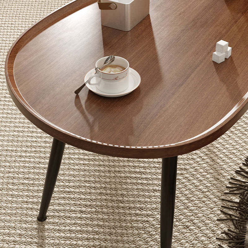 Japanese Oval Steel Wood Coffee Table