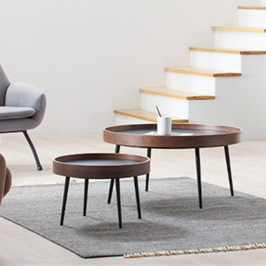 Scandinavian Iron Wood Coffee Table