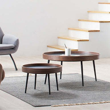 Scandinavian Iron Wood Coffee Table