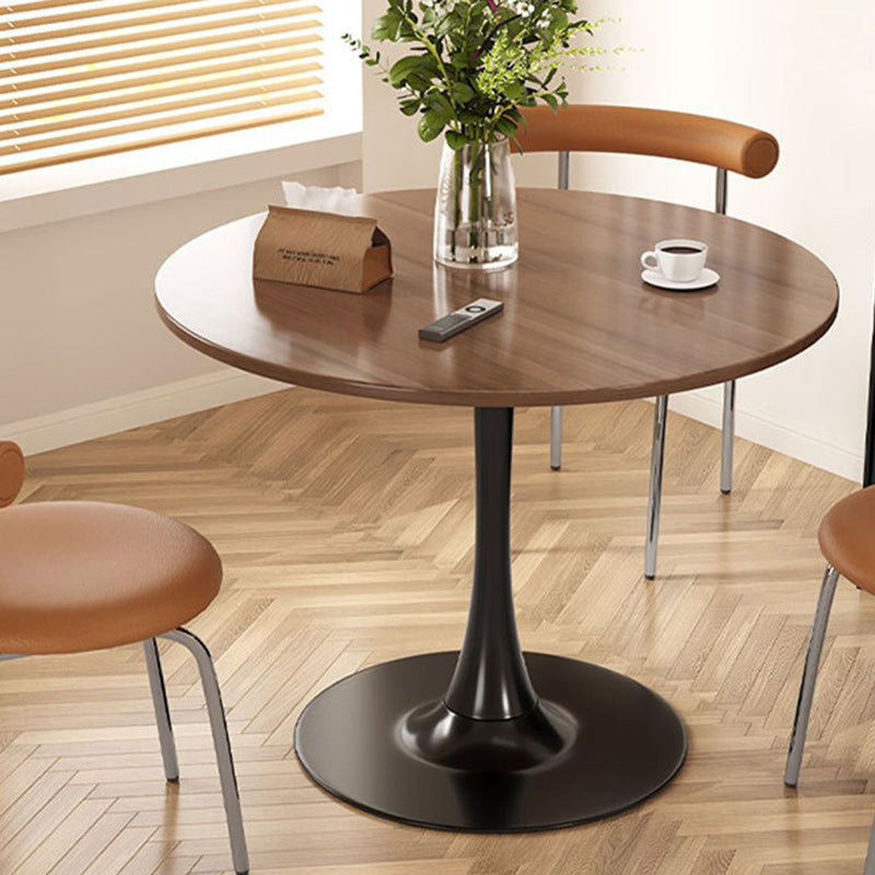 Nordic Wood Steel Coffee Table