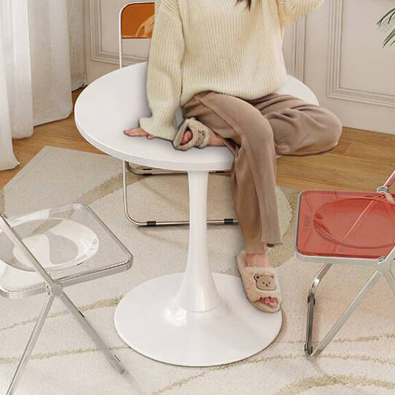 Nordic Iron Wood End Table