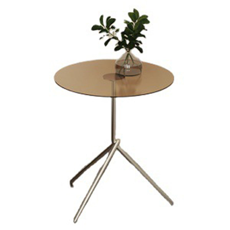 Scandinavian Round Iron Acrylic End Table