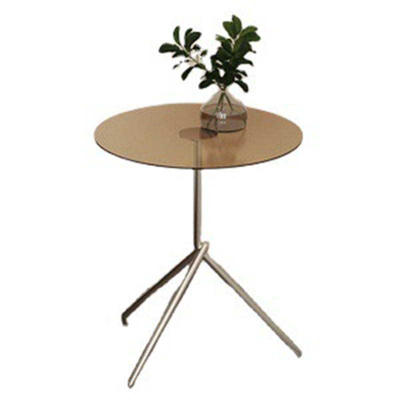 Scandinavian Round Iron Acrylic End Table