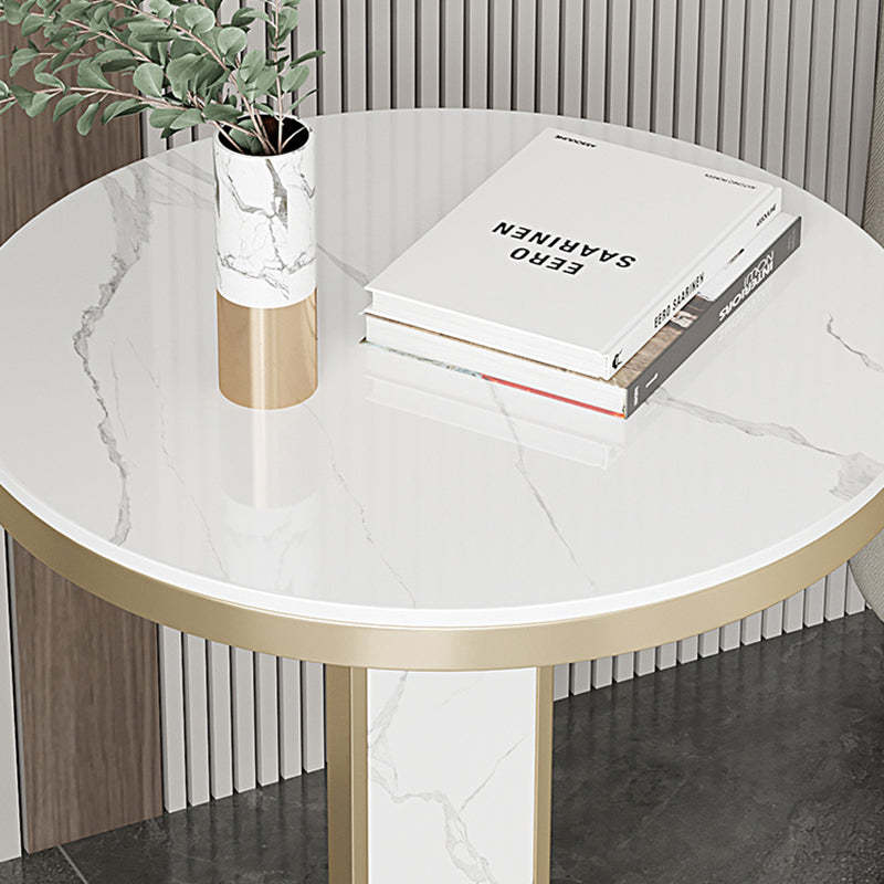 Luxury Round Rock Slab Steel Coffee Table — Black