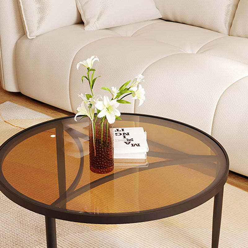 Luxury Tempered Glass Iron Wood Coffee Table — Tea Color / White