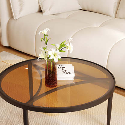Luxury Tempered Glass Iron Wood Coffee Table — Tea Color / White