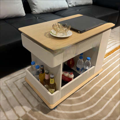 Minimalist Solid Wood 2-Storage Rectangular Coffee Table