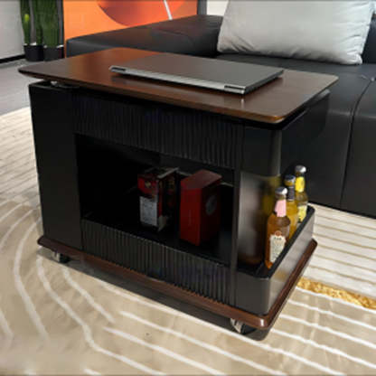 Minimalist Solid Wood 2-Storage Rectangular Coffee Table