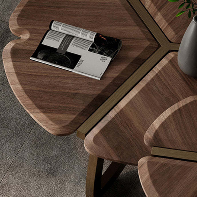 Retro Black Walnut Petal Coffee Table