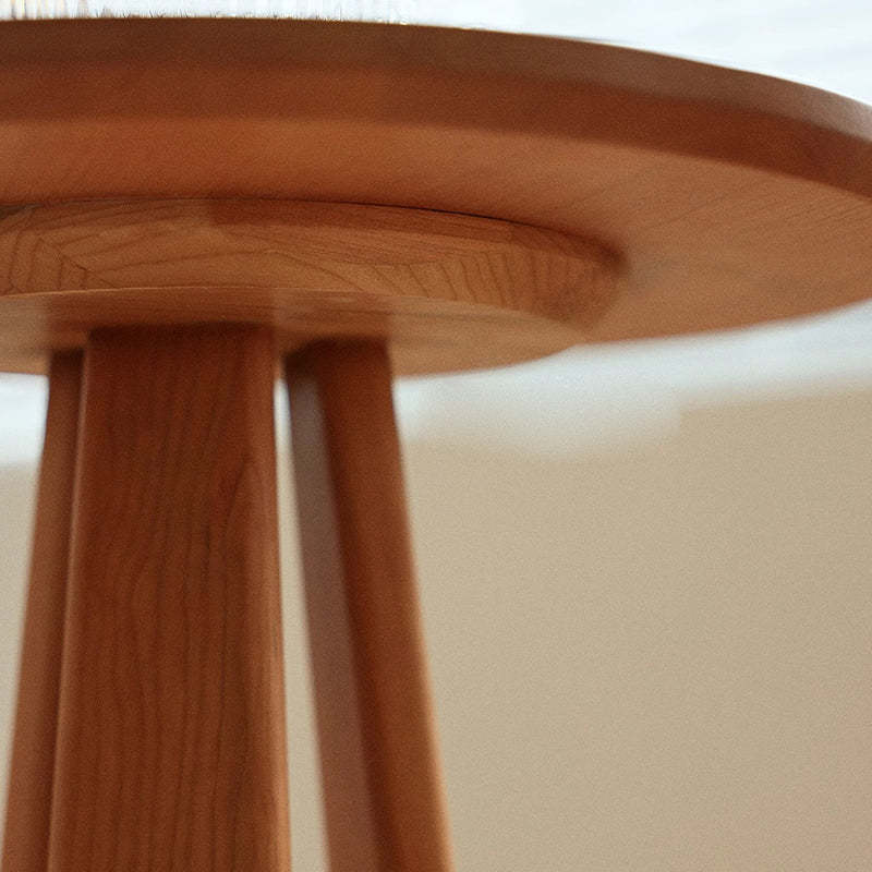 Japanese Geometric Circle Wood Coffee Table