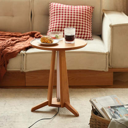 Japanese Geometric Circle Wood Coffee Table