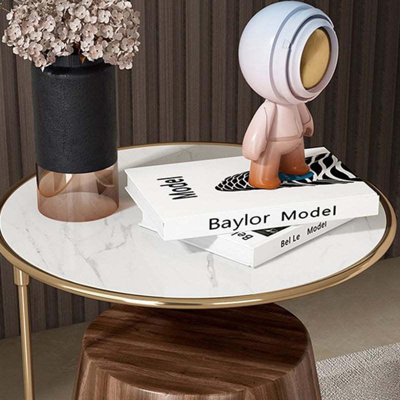 Stainless Steel Marble Wood Coffee Table