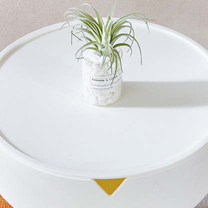 Scandinavian Plastic Iron Cylinder 1-Storage Coffee Table