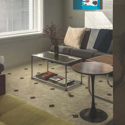 Modern Stainless Steel Glass Coffee Table 2-Tier