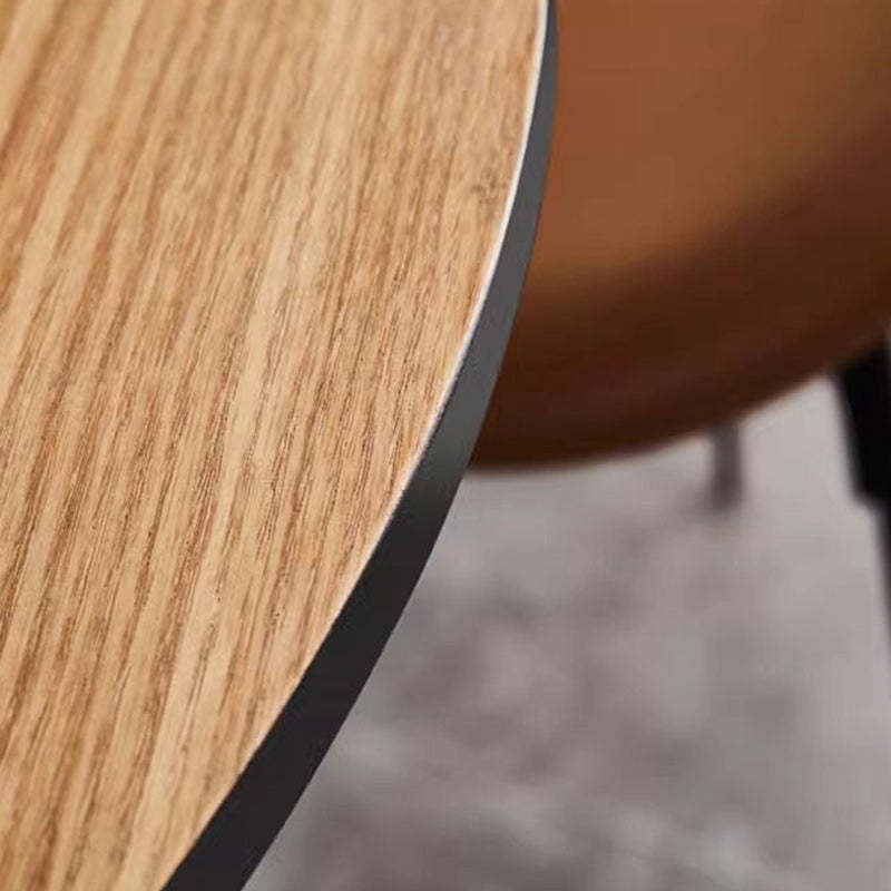 Minimalist Cylinder Wood Metal End Table